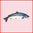 nav_easy_zalm_o